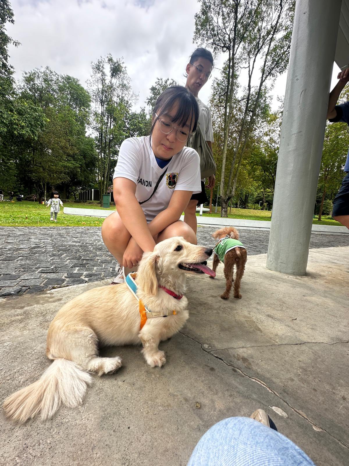 DogTalk2025